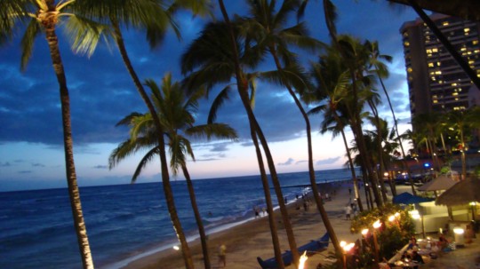 poster prints - Beach Photo - palm_trees_2.jpg