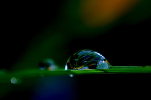 poster printing - Drops Rain - MicrogardenplanetofHopeJPG.jpg