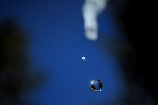 poster printing - Water Drop - WorldinFreeFlightJPG.jpg
