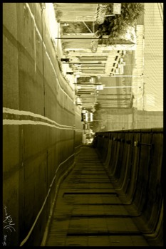 36 poster printing -  - IMG6734224X36JPG.jpg