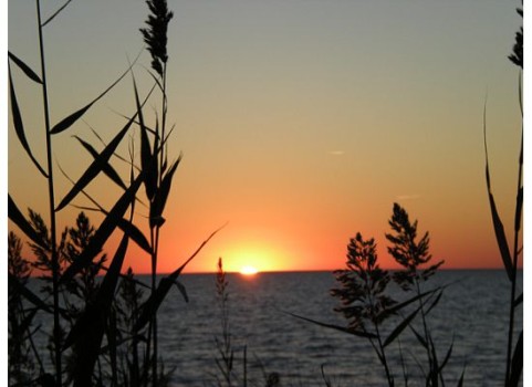 my - Sunset Ocean - ry400.jpg