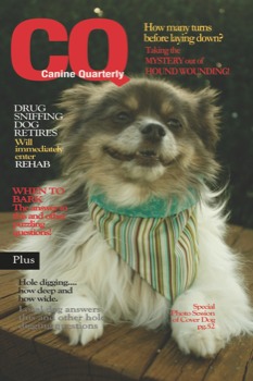 poster printing cheap - Magazine - GQCocoPOSTER.jpg