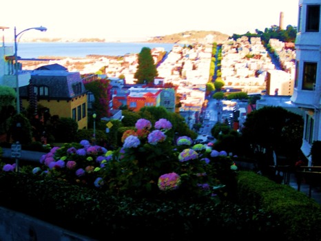poster brain - City Buildings Bushes Ocean - bedroom.png