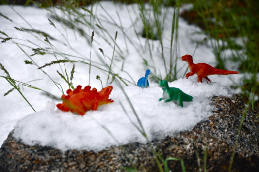 make a poster - Toy Dinosaurs - DSC_0430_1.jpg