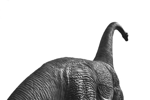 make a poster - Dinosaur - DSC_1328.jpg