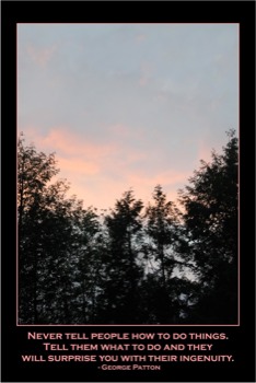 print a poster - Trees - PinkPort.jpg