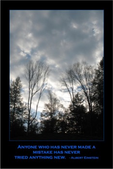 print a poster - Anyone Who Has Never Made a Mistake Has Never Tried Anything New - BluePort.jpg