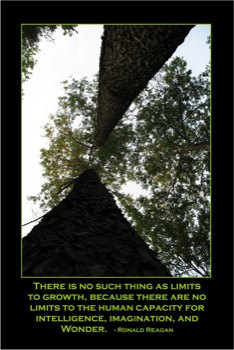 print a poster - Trees - green.jpg