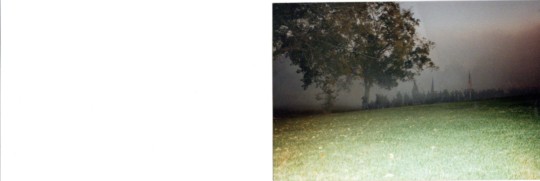 print a poster - Trees - CIVIL_WAR.jpg