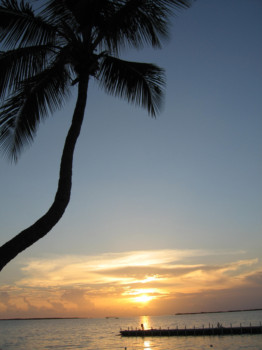 print a poster -  - Sunset_Palm_III.jpg