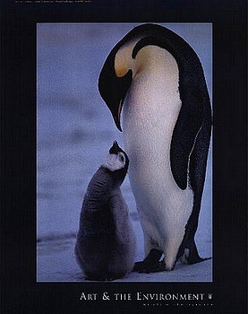 print huge posters - Art & The Environment - penguin4.jpg