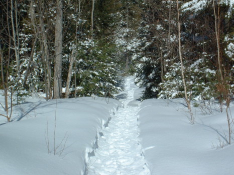 print a poster - Snow - 2009_0303_142010AA.jpg