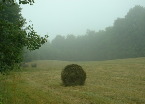 print a poster - Haystacks - Copy_1_of_crop_04.jpg