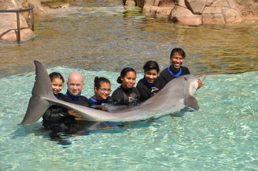 print a poster - Dolphin - M041711003536.jpg