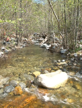 poster printing - Creek Boulders Trees Water - Etiwanda2.jpg