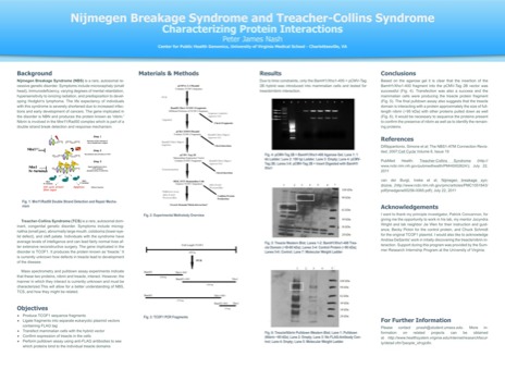 poster printing -  - SRIPFinalPoster.pdf