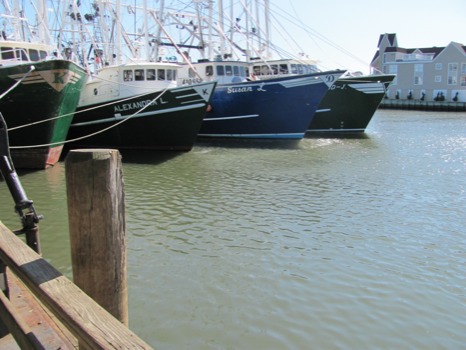 photo enlargement -  - PaNjvacation102011048.jpg