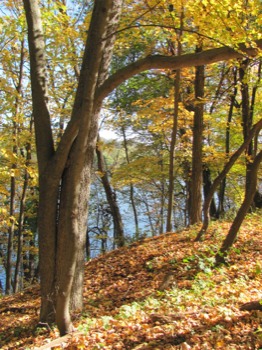 photo enlargement -  - PaNjvacation102011090.jpg