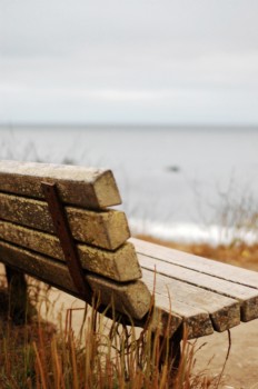 photo - Seaside Bench - bench.jpg