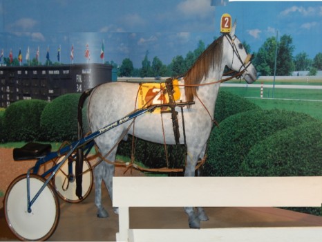 make posters - Horse - Harness_for_poster_1.jpg