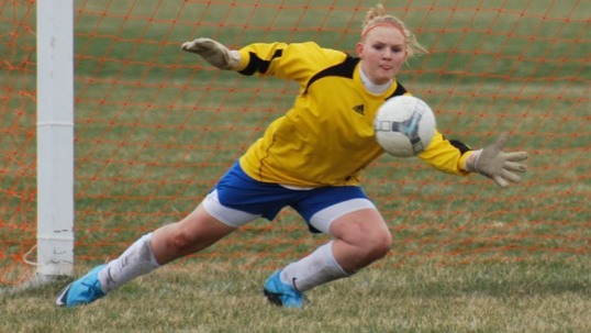 poster - Soccer Ball - cayla_soccer.bmp