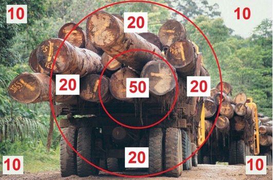 print a poster -  - blowpipetarget.jpg