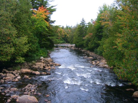 print a poster - River - IMG_0902c.jpg