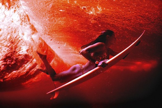 print a poster - malia_duckdive.jpg