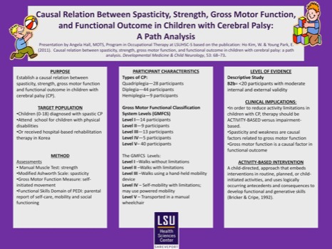 poster - Causal Relation Between Spasticity Strength Gross Motor Function - Hall_LOTAposter2.pdf