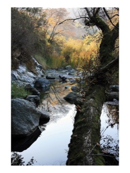 print a poster - River - SunolLittleYosemite18x243x2inb.jpg