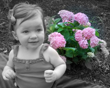 print a poster - Baby With Pink Hydrangeas - SANY2162.jpg