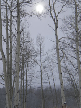 poster - Trees - 161_1.jpg