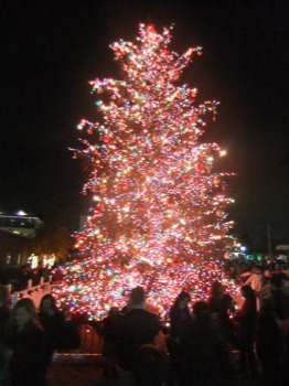print a poster - Christmas Tree Lighting Decorations - CommercialJPG.jpg