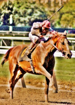 print a poster - Polo Sport - DSC_0282.jpg
