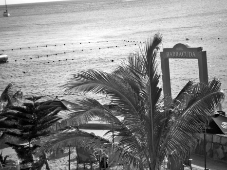 print a poster - Beach Photo - 08_04_26_06_59005.jpg