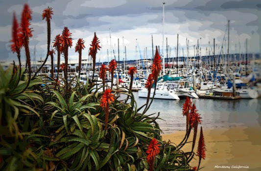 posterbrain - Boat Port - Fishermans_Wharf_0019.jpg
