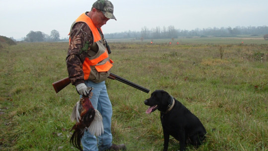 photo - Bird Hunter With Black Dog - 1.tif