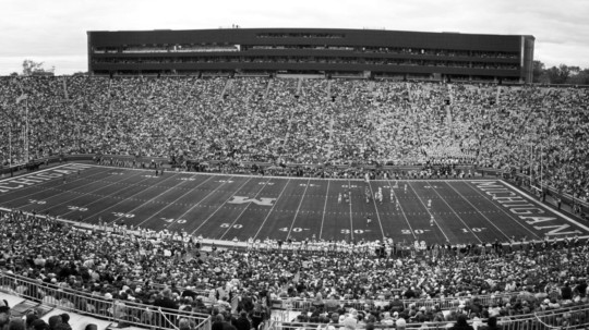 poster brain - Stadium - michigan_6.jpg