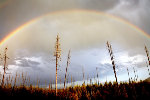 print a poster - Rainbow - IMG_6471.jpg