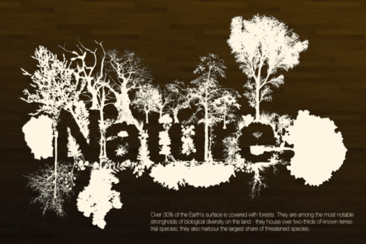 print a poster - Nature Sign - Poster_No2_copy_2_copy.tif