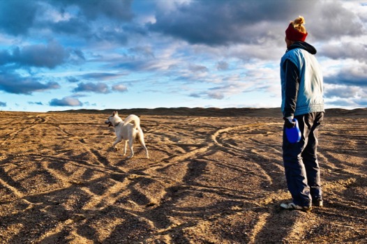 print a poster - Man With Dog At The Beach Photo - DogWalker.jpg
