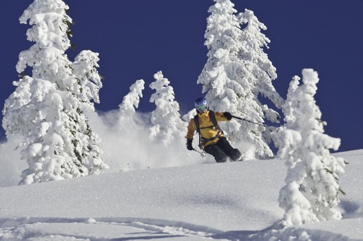 print a poster - Snow Skis - Skier8933599.jpg