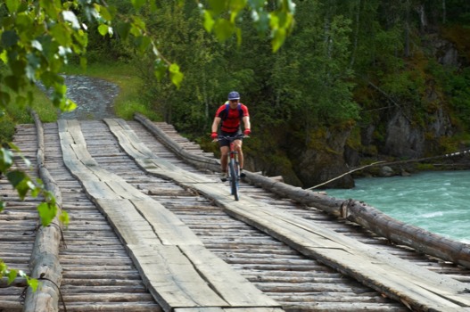 print a poster - Bridge - Biker3929667.jpg