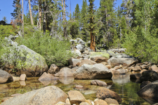 print a poster - River Rocks - Yosemite_Aug002.jpg