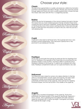 print a poster - Vdl Choose Your Style Lips - lipstylesposter.jpg