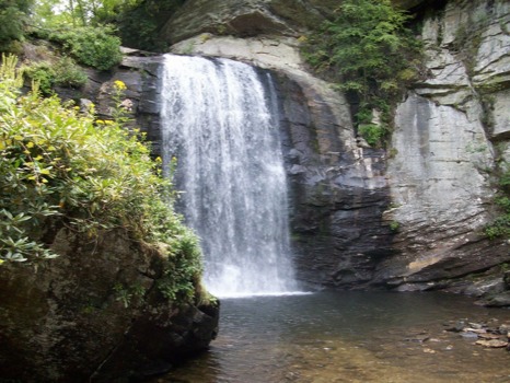 poster - Falling Waterfall Rocks Bushes - 1001867.jpg