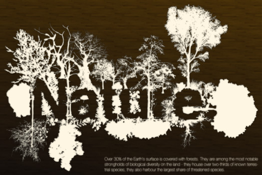 poster - Nature Sign - Poster_No2.tif