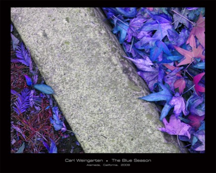 print a poster - Purple Leaves - BlueSeason_24x30.tif