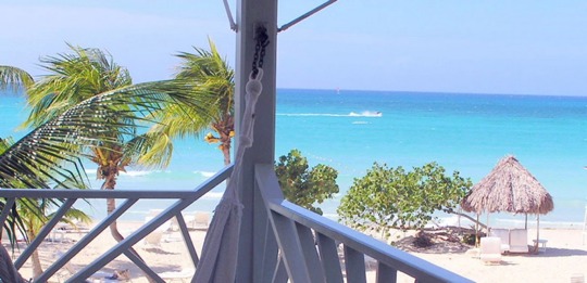 get - Palm Trees - Negril_Pics_Day_2_002-2.jpg