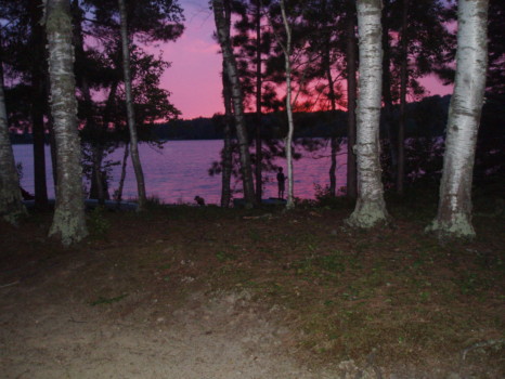 {keyword:nil} - Trees - P1010001.jpg